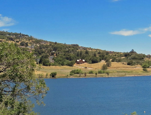 Take a Trip To Lake Cuyamaca and Teach Children about Nature Conservation