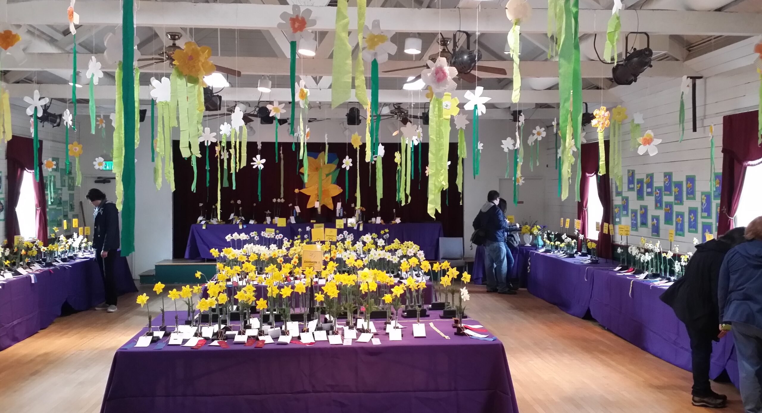 Daffodil Show photo town hall