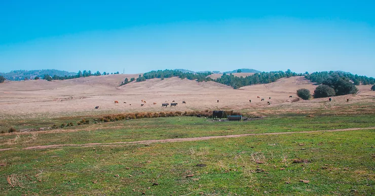 Carristo Ranch Photo
