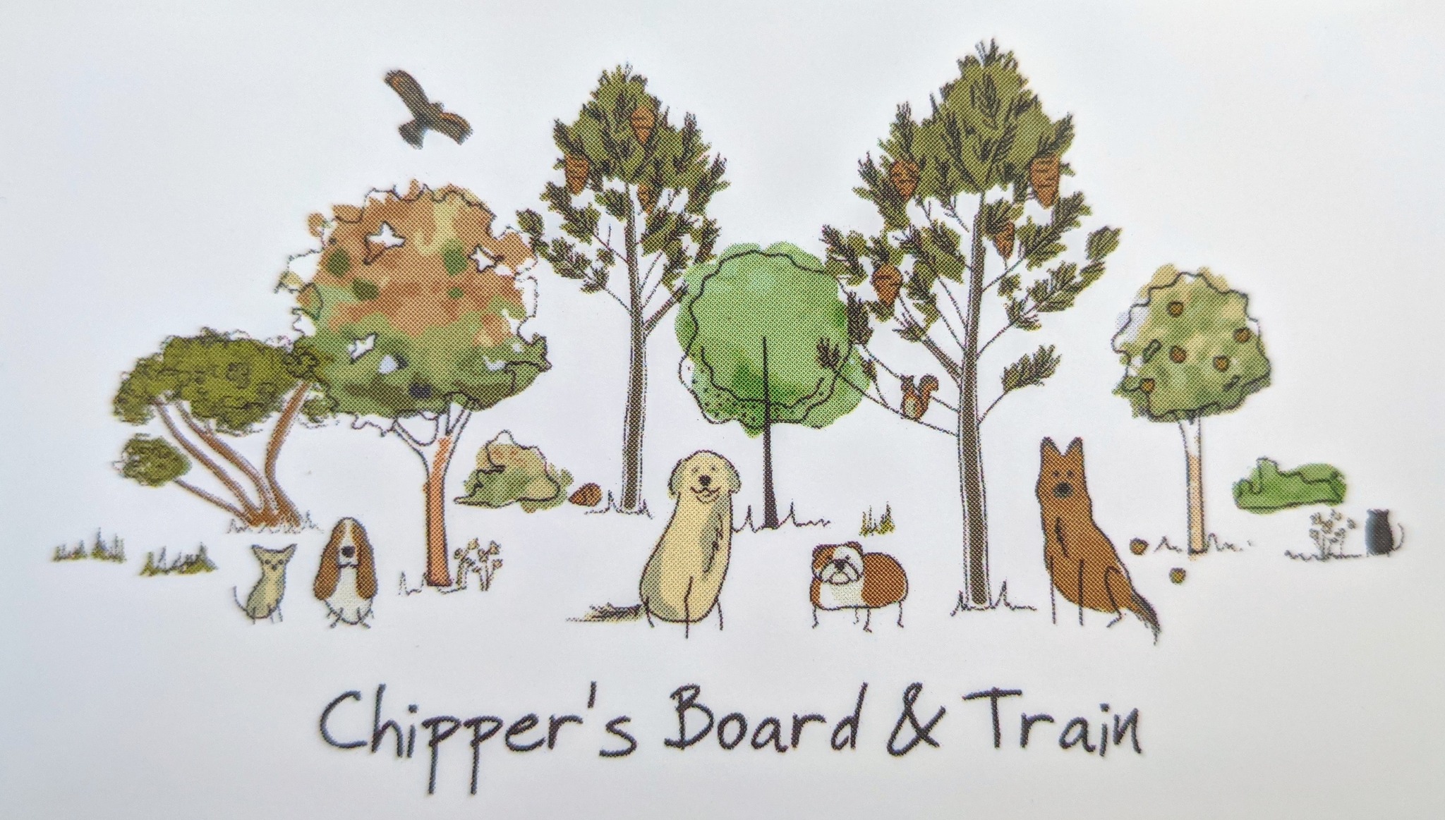 : Chipper's Board and Train photo