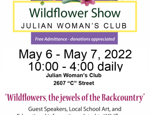 Julian Wildflower Show