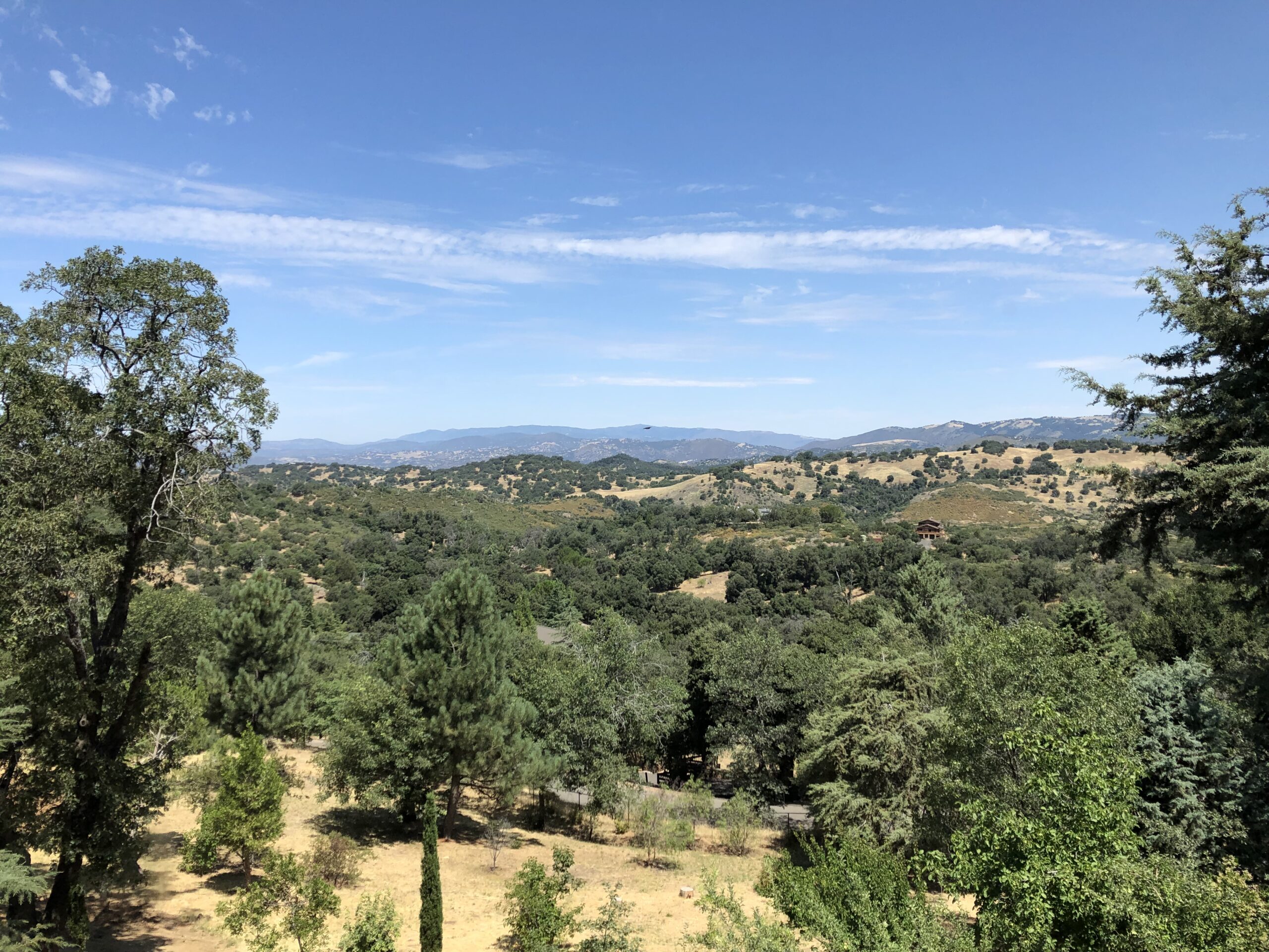 Retreat view of Rooted Living Wellness,